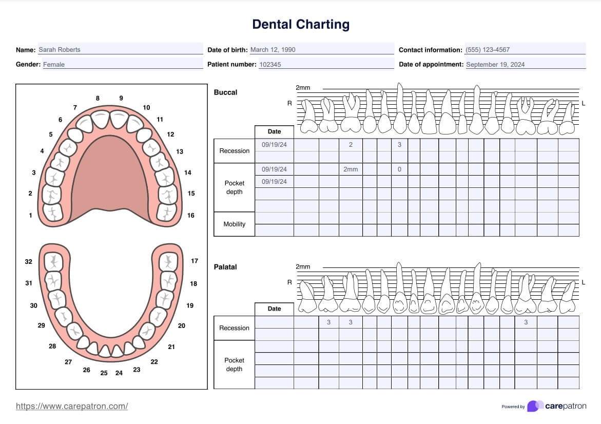 Dental Charting Template U0026 Example Free PDF Download Dental Charting Template U0026 Example Free PDF Download